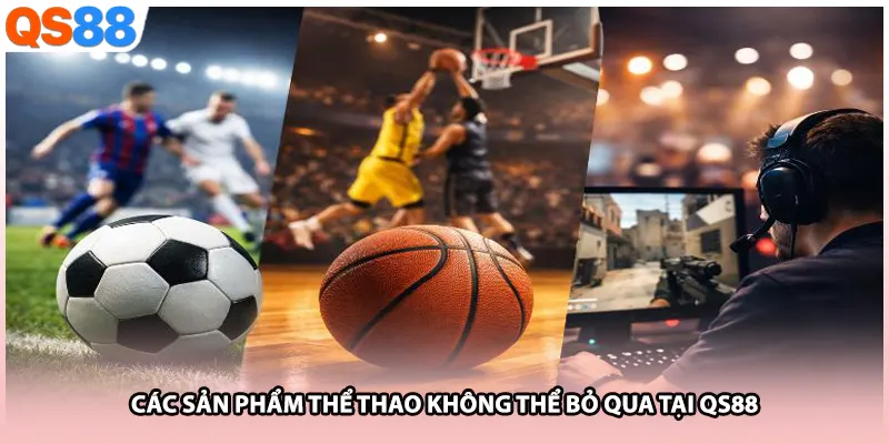 Các sản phẩm thể thao không thể bỏ qua tại QS88