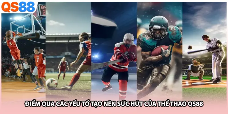 Điểm qua các yếu tố tạo nên sức hút của thể thao QS88