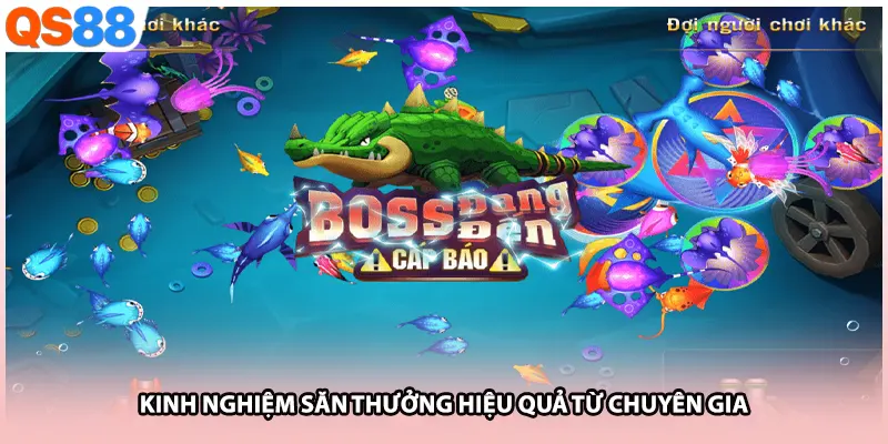 Kinh nghiệm săn thưởng hiệu quả từ chuyên gia