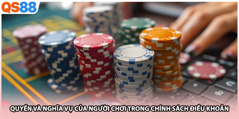 Quyền và nghĩa vụ của người chơi trong chính sách điều khoản