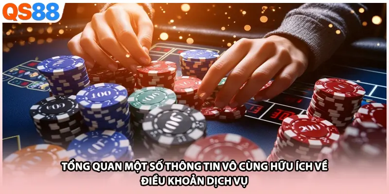 Tổng quan một số thông tin vô cùng hữu ích về điều khoản dịch vụ